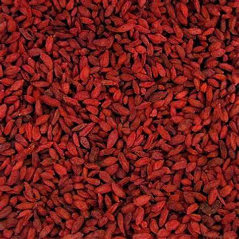 Goji Berry